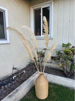 6 dried pampas with ikea woven vase