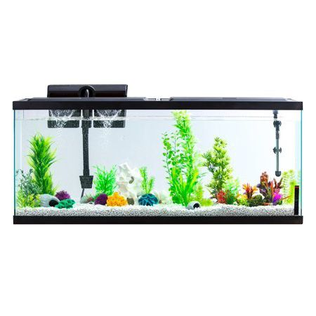 55gal aquarium and filter