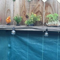 6 Artificial Aquarium Plants