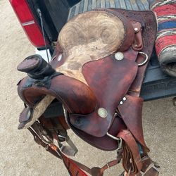 Saddle 
