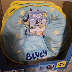 Children  Bluey Saucer Chair