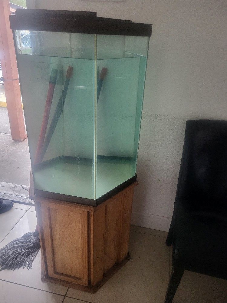 50 Gallon With Stand Lights And Filter