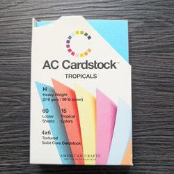 American Crafts 4x6 Cardstock - Set Of 30