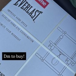 Supreme Everlast Speed Bag + Platform