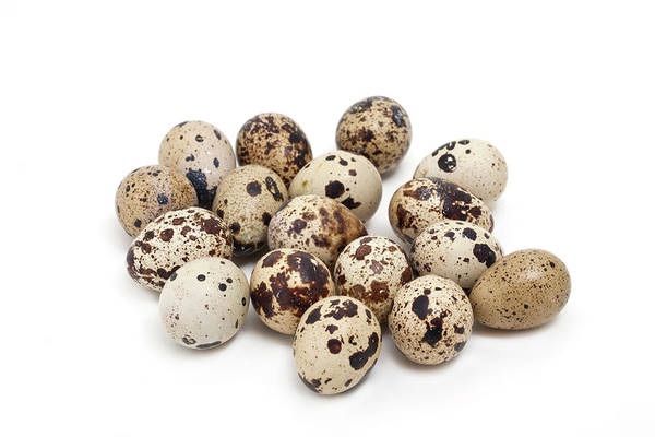 Quail Eggs