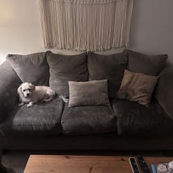 Free Couches 