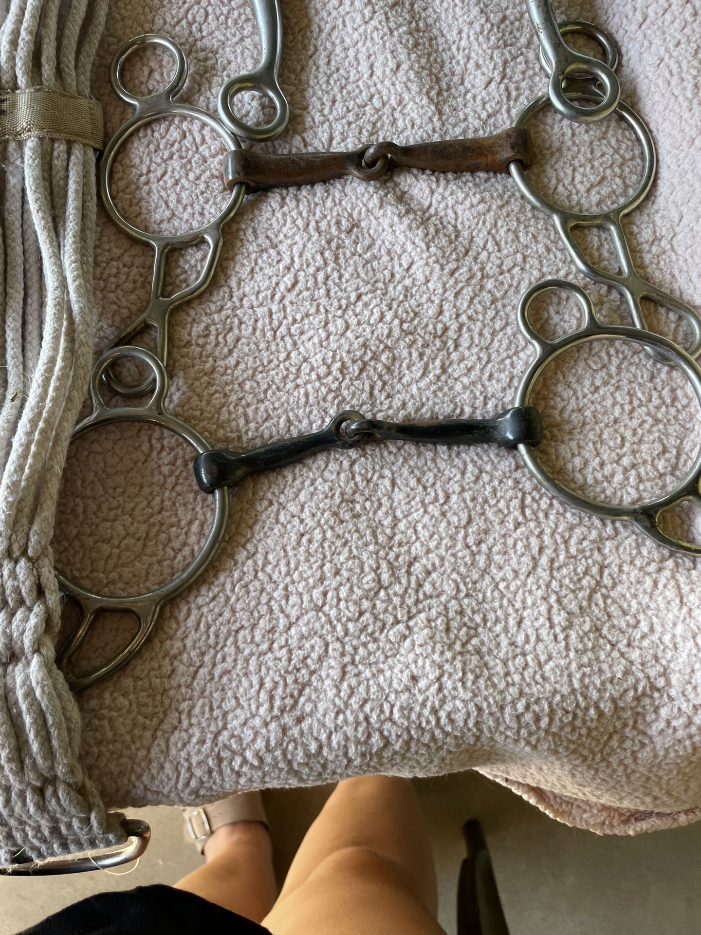 Horse Tack