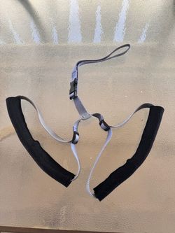 Walking Pets, Pet Harness rear with Foam Padding