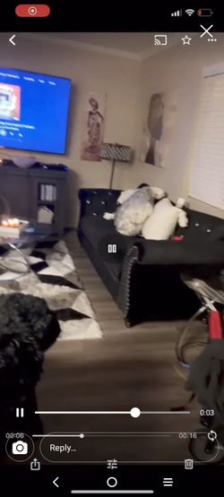 3 Seat Diamond Tuffled Sofa And Love Seat