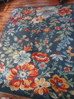 Large indoor / outdoor area rug