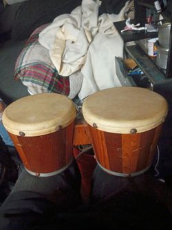 Bongo