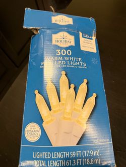 Led soft white Christmas light