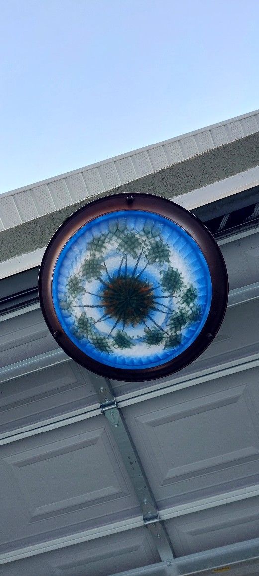 Hanging Light/Palm Scene