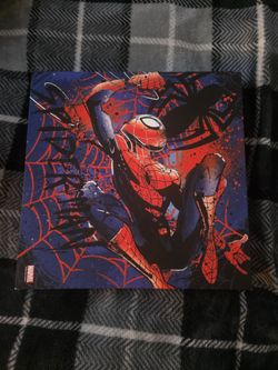 Spiderman frame