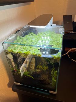 5gal fish tank