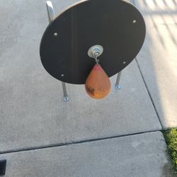 Speed  Bag