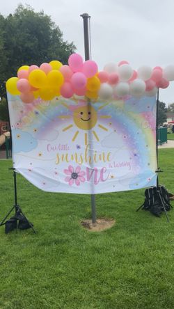 First Birthday Backdrop