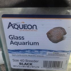 Largefish Tank 