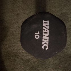 10 Lb Dumbbell Weight (single)