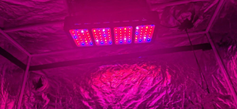 Grow Tent