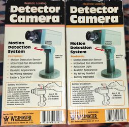 Detector Camera 