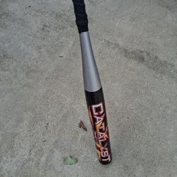 Louisville Slugger Catalyst Softball Bat 34