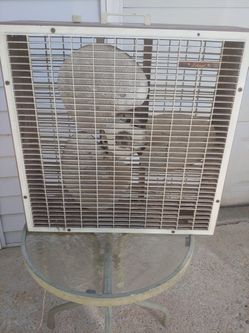 Electric Fan