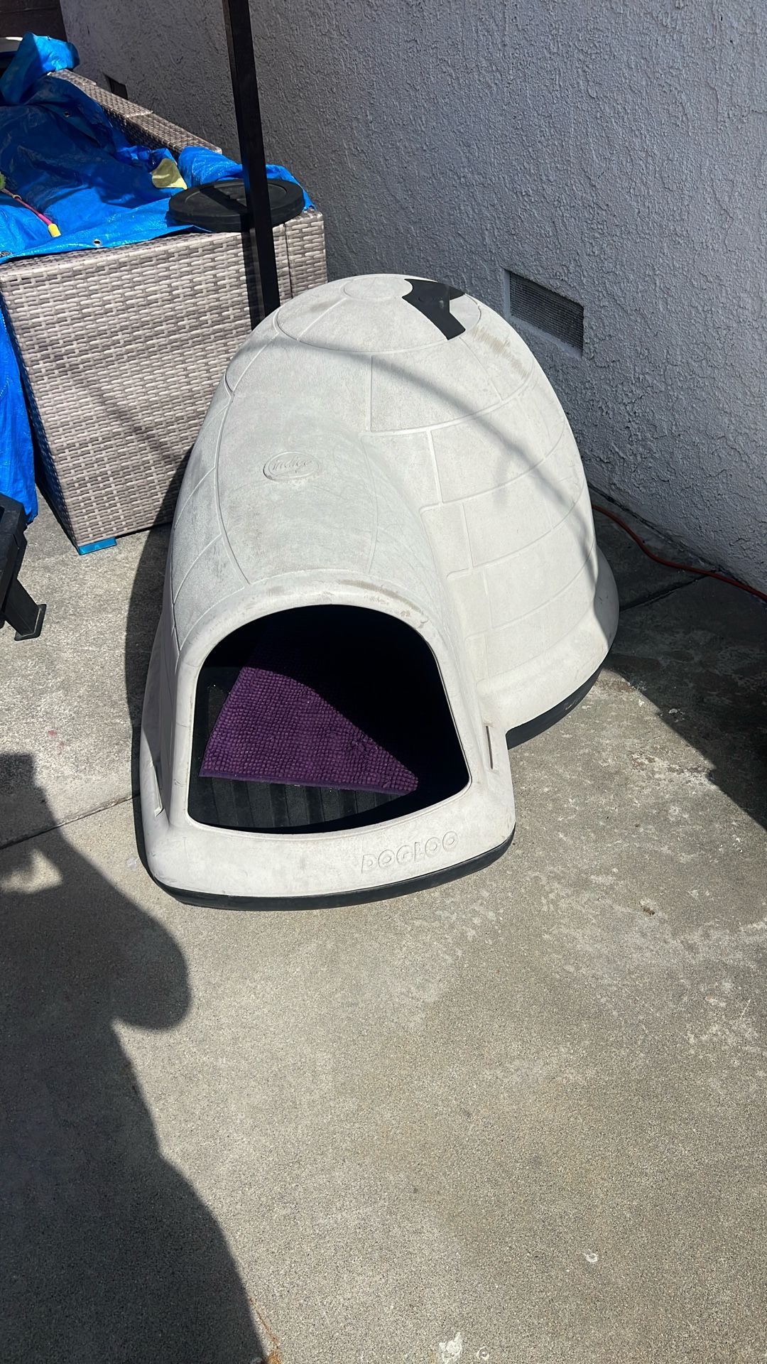 Dog House