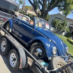 1966 Volkswagen Beetle
