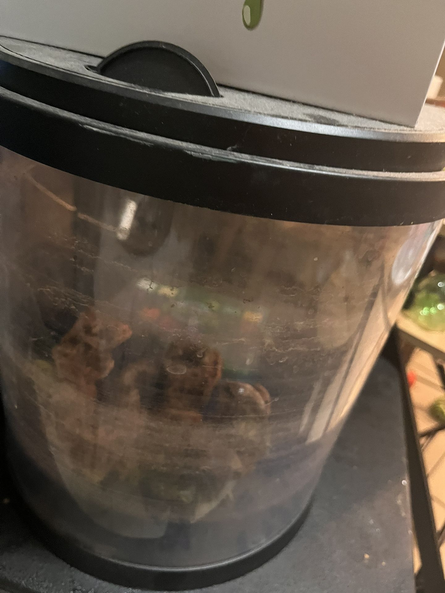 Fish Solution Fish Tanks