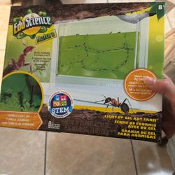 EduScience Ant Kit