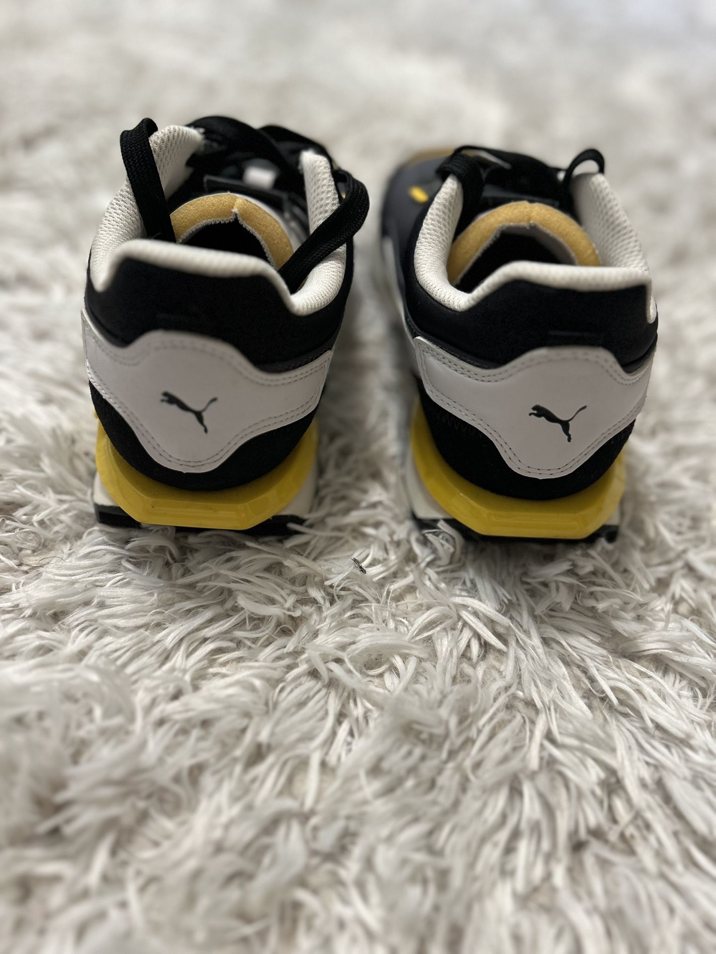 Pumas