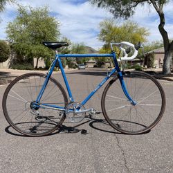 1984 Trek 460 Racing Bike (24" Frame)