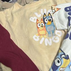 Bluey And Dinosaur Clothes 