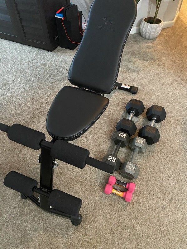 Bench and Weights