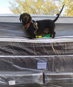 ❤️❤️❤️QUEEN SIZE ORTHOPEDIC FIRM MATTRESS SET BLOWOUT SALE ❤️❤️❤️