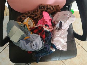 Dog clothes
