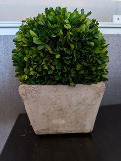 Faux Boxwood Topiary Ball in Square Stone Pot