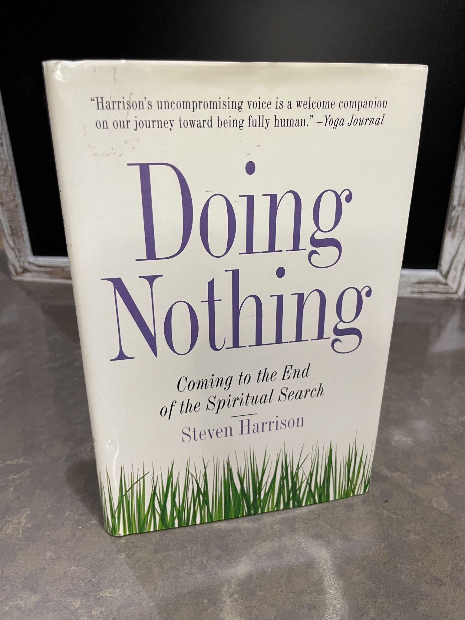 Do Nothing By Steven Harrison