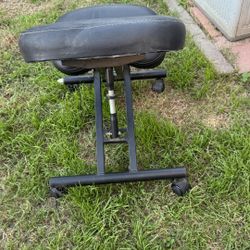 Ergonomic Posture Chair