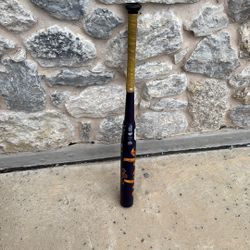 Spryte Softball Bat