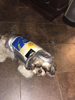 Halloween Dog Costume Small , Large and X Large