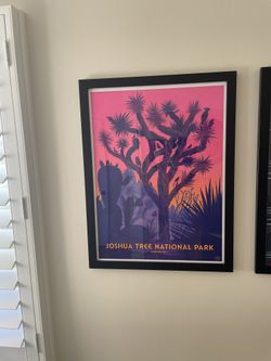 Joshua Tree National Park Framed Print