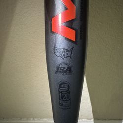 Softball Bat 