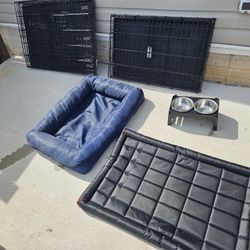 Dog Accessories Must GO