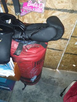 Everast boxing bag with boxing gloves