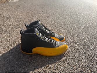 Air Jordan 12s