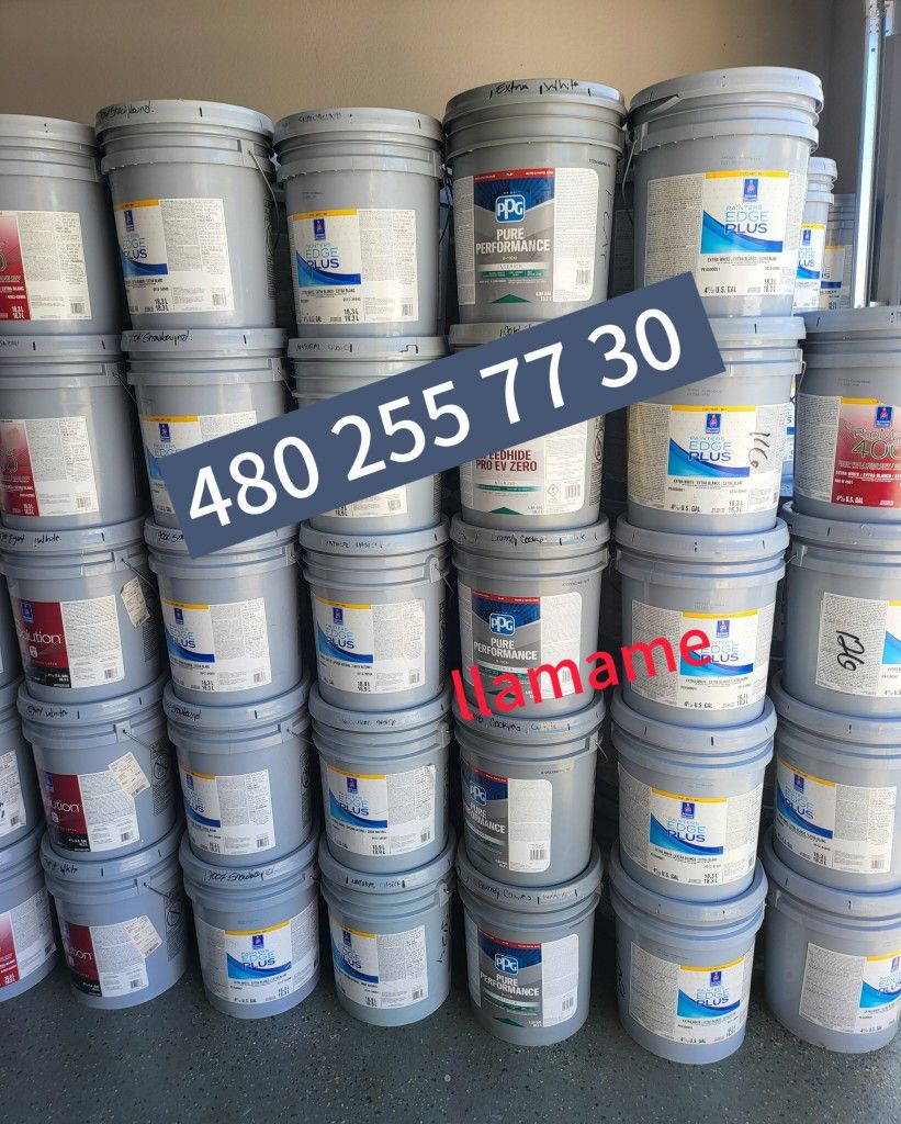 Pintura Y Primer