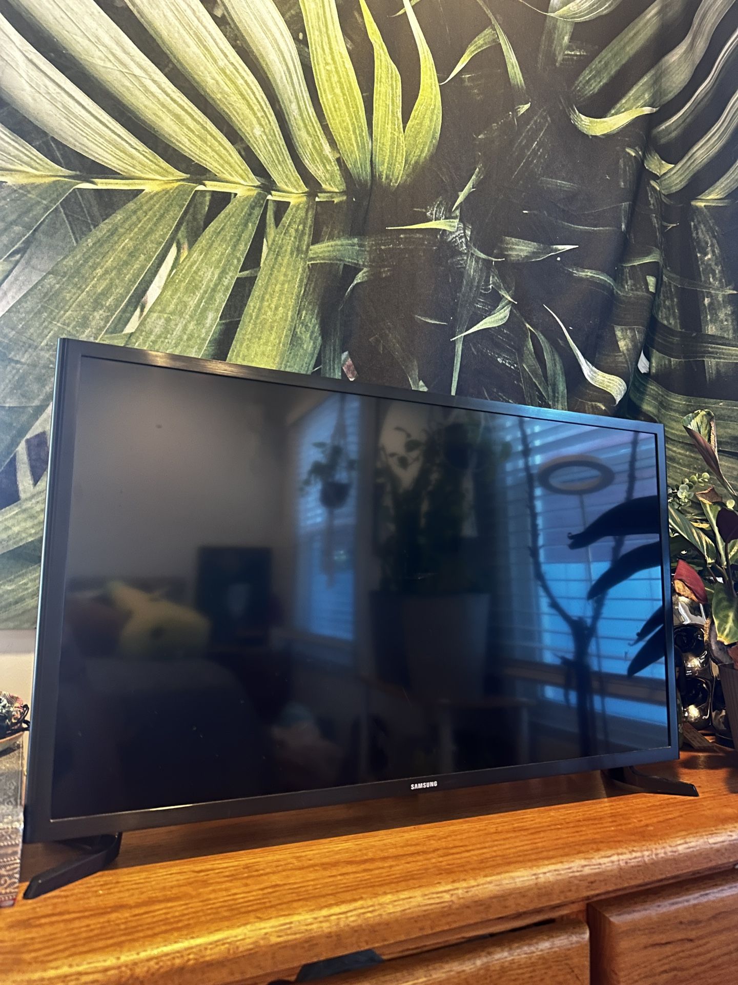 Samsung 30” TV and Roku