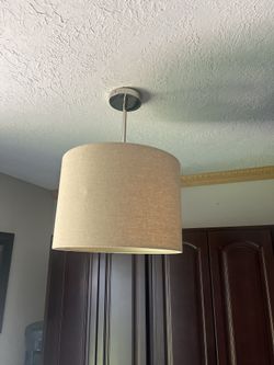 Brush Nickel Light Fixture